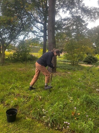 Weekly catch up with garden & propagation