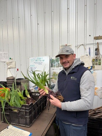 Weekly catch up with garden & propagation