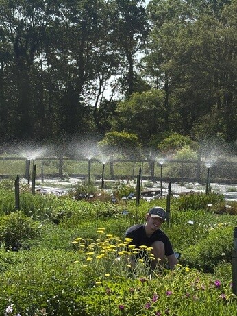 Weekly catch up with garden and propagation