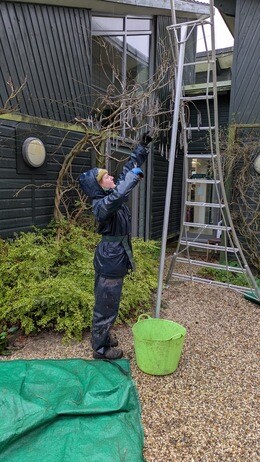 Weekly catch up with garden & propagation