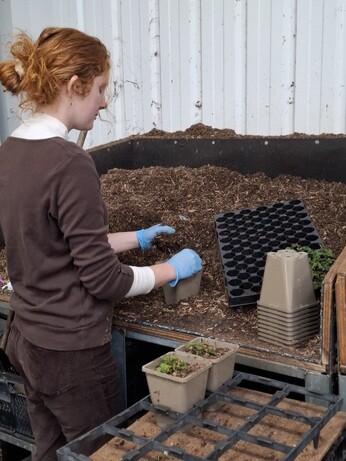 Weekly catch up with gardens & propagation 