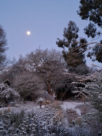 Wild Words from the Ground - December/January