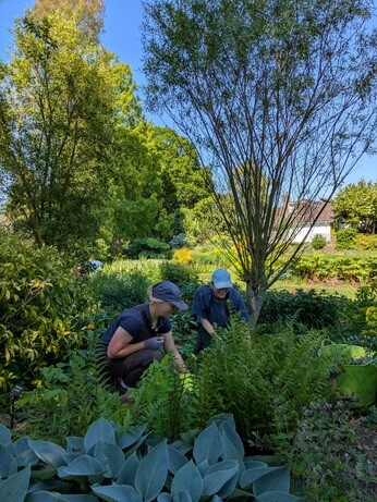 Weekly catch up with gardens & propagation