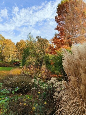 My Year as a Trainee at Beth Chatto Plants & Gardens