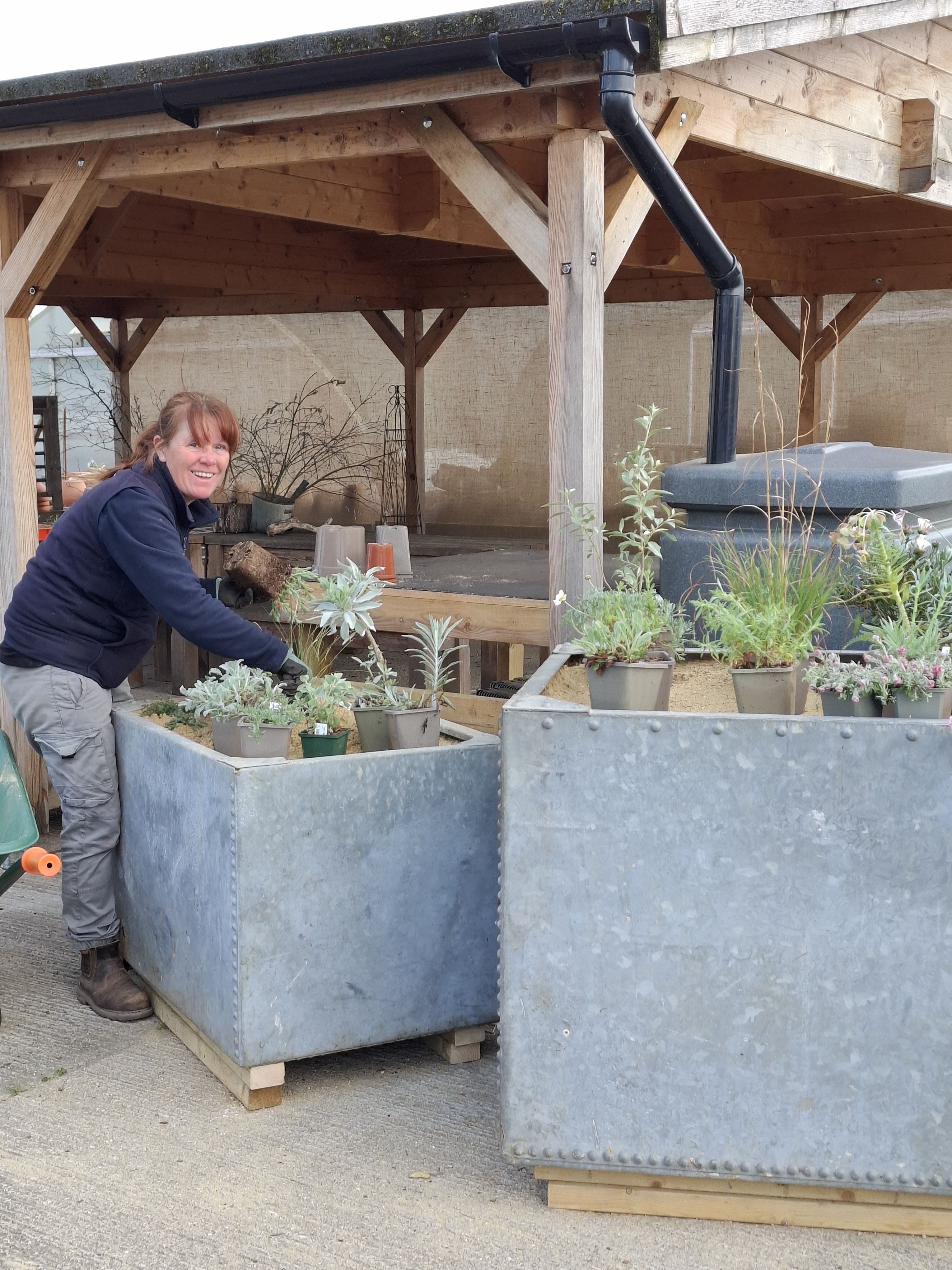 Weekly catch up with garden & propagation