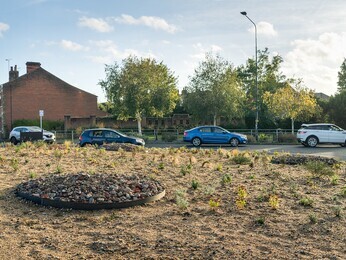 Planting on the Albert roundabout