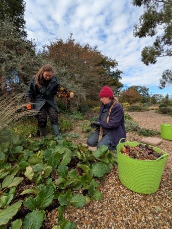 Weekly catch up with garden & propagation Weekly catch up with garden & propagation