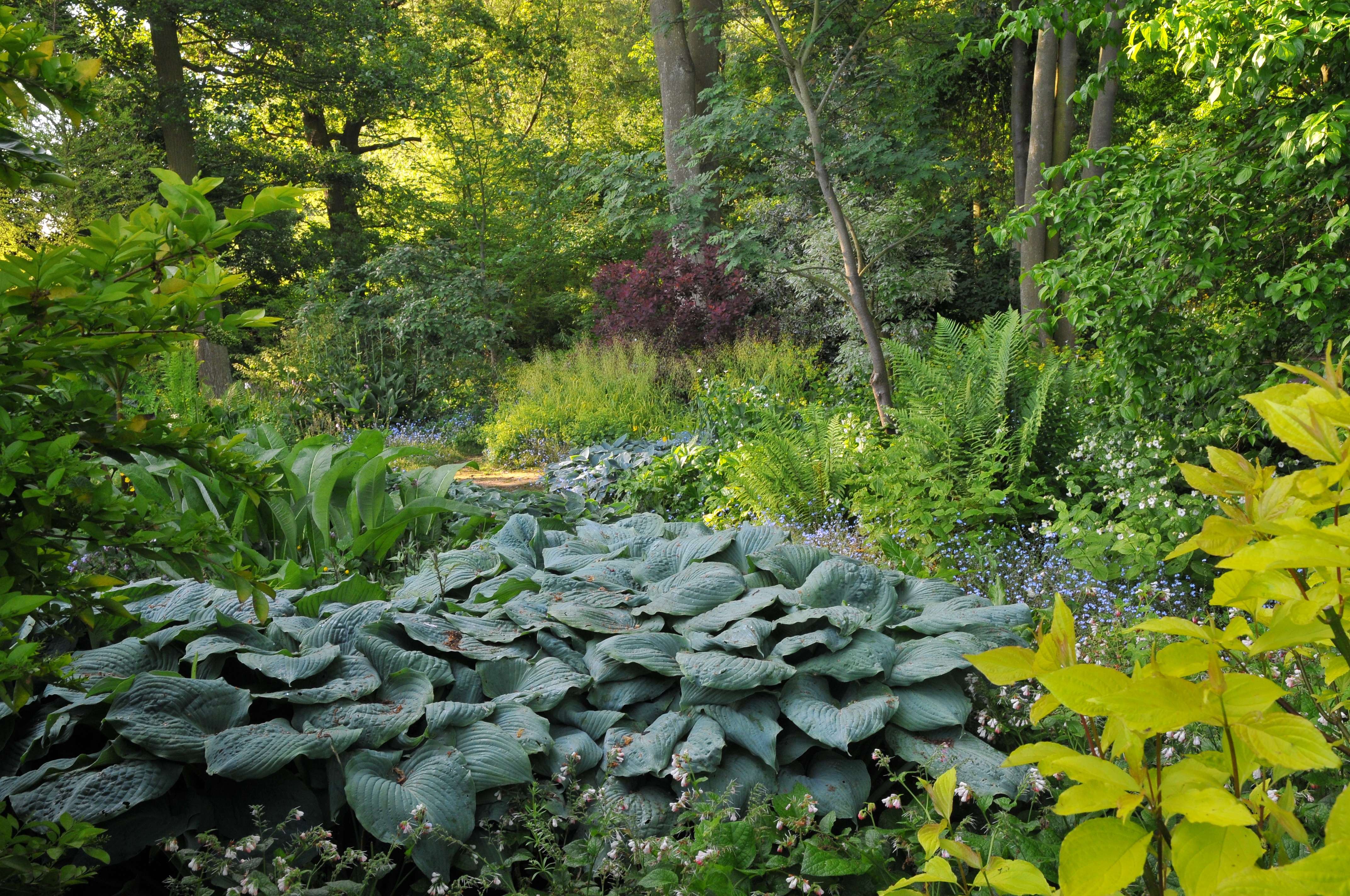 Fabulous foliage