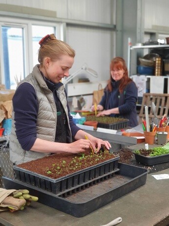 Weekly catch up with gardens & propagation