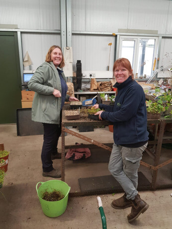 Weekly catch up with garden & propagation Weekly catch up with garden & propagation