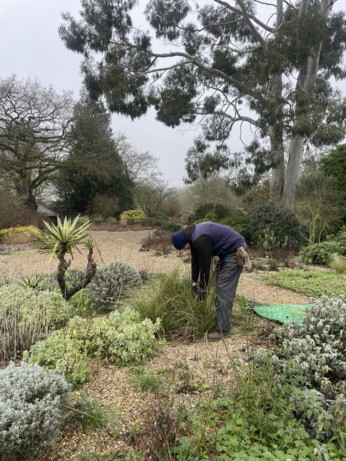 Weekly catch up with garden & propagation