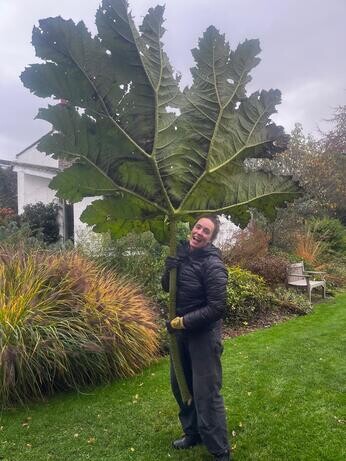 Weekly catch up with garden & propagation