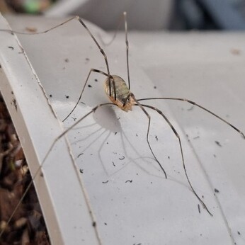 Wild Words from the Ground - November