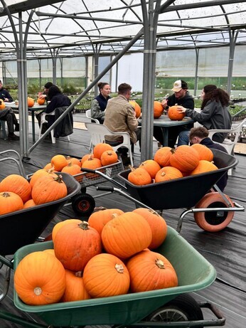 Weekly catch up with garden and propagation