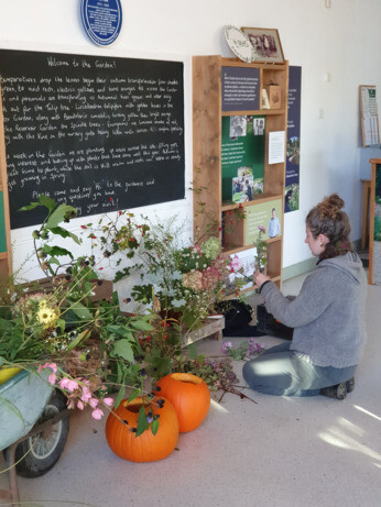 Weekly catch up with garden & propagation Weekly catch up with garden & propagation