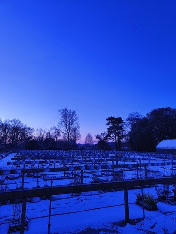 My Year as a Trainee at Beth Chatto Plants & Gardens