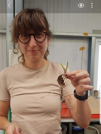 Weekly catch up with garden & propagation
