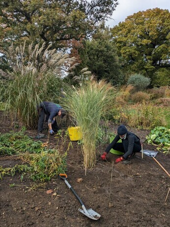 Autumn Planting: helping gardeners adapt to a changing climate