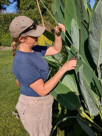 Weekly catch up with garden & propagation