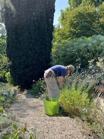 Weekly catch up with garden & propagation