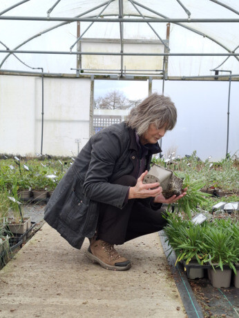 Weekly catch up with garden & propagation Weekly catch up with garden & propagation