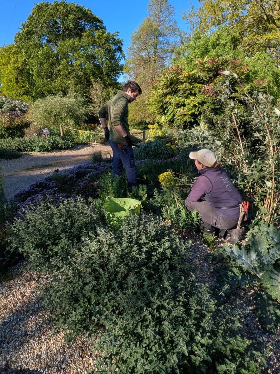 Weekly catch up with garden & propagation