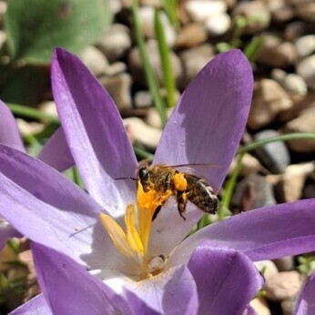 Wild Words from the Ground  February & March