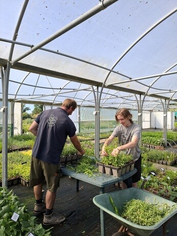 Weekly catch up with garden and propagation Weekly catch up with garden and propagation