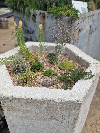 Container gardening
