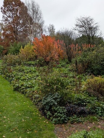 Weekly catch up with garden & propagation