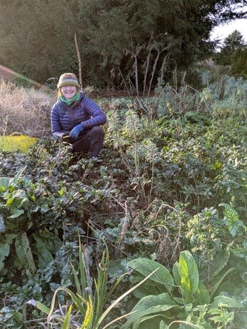 Weekly catch up with garden & propagation