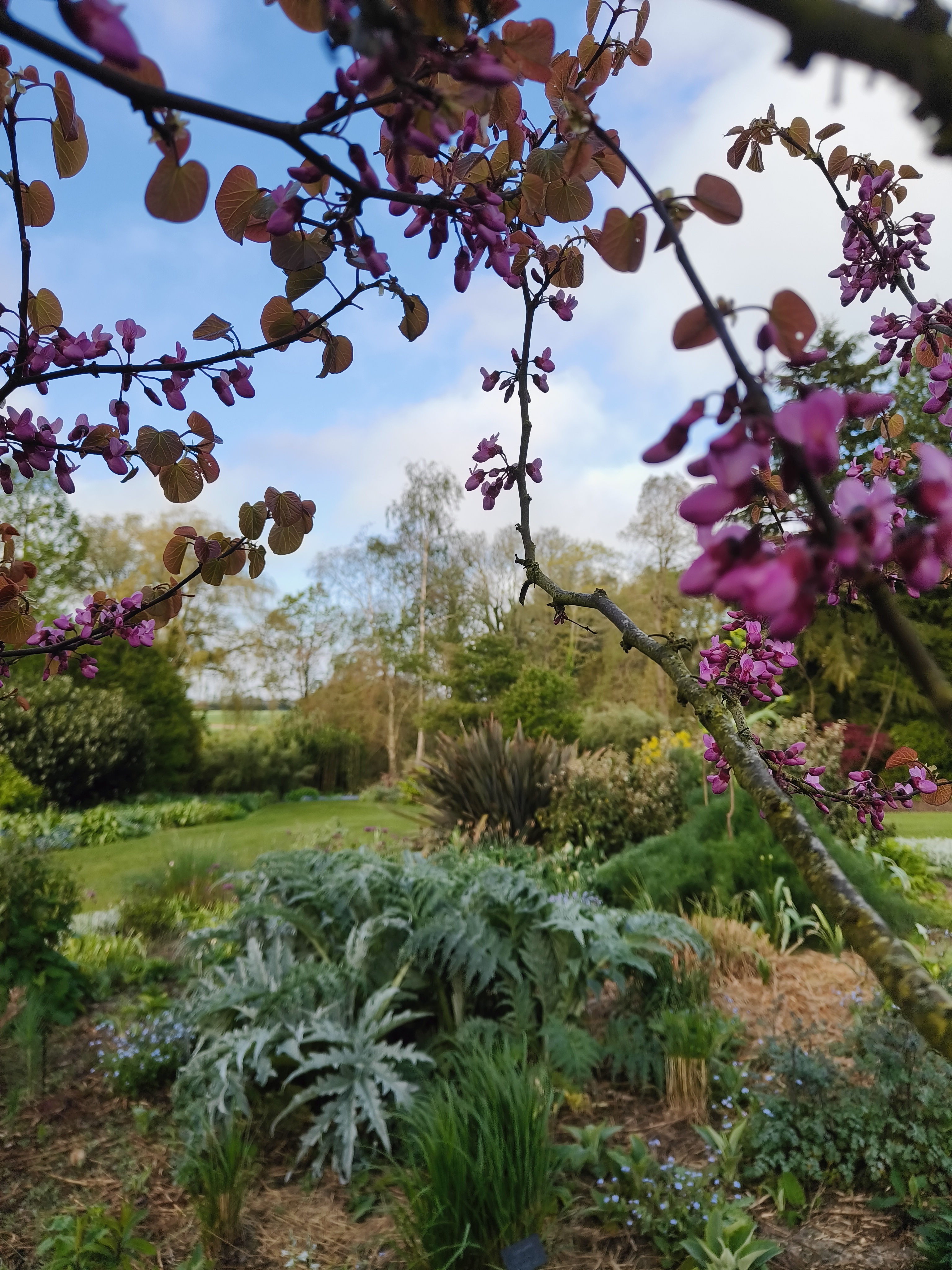 Weekly catch up with garden & propagation