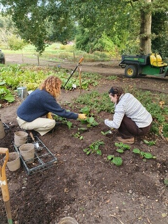 Weekly catch up with garden and propagation Weekly catch up with garden and propagation