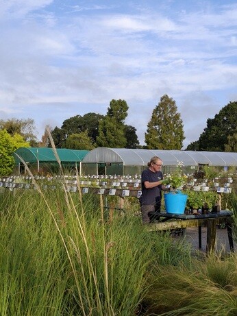 Weekly catch up with garden and propagation Weekly catch up with garden and propagation
