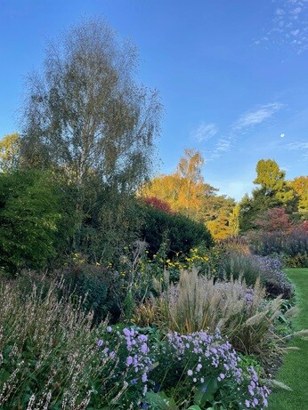 Weekly catch up with garden & propagation