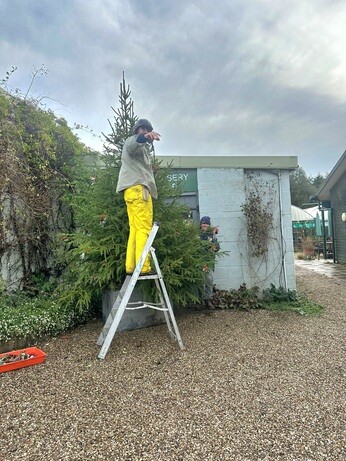 Weekly catch up with garden & propagation