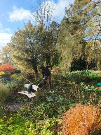 Weekly catch up with garden & propagation