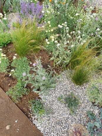 Carol Klein's Iconic Horticultural Hero garden at Hampton Court