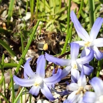 Wild Words from the Ground - March