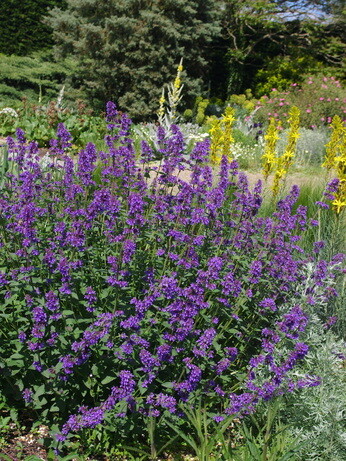 A Garden for Summer Begins in Autumn A Garden for Summer Begins in Autumn