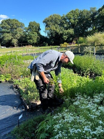 Weekly catch up with garden & propagation