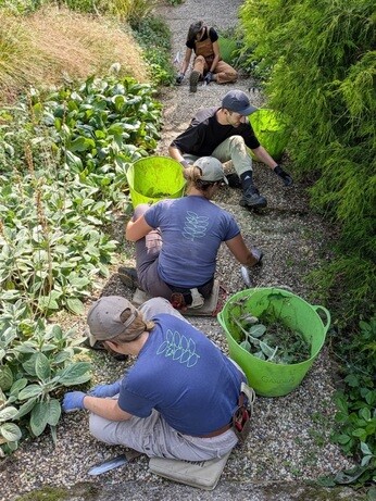 Weekly catch up with garden & propagation