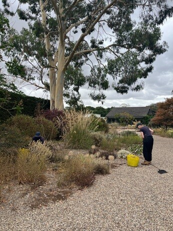Weekly catchup with garden and propagation Weekly catchup with garden and propagation