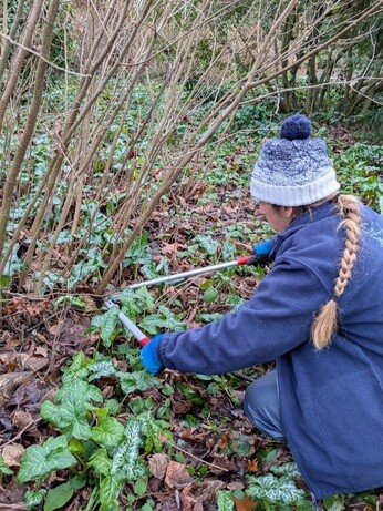 Weekly catch up with garden & propagation