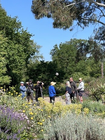 Weekly catch up with gardens & propagation