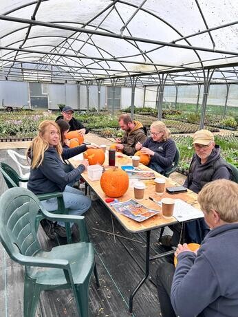 Weekly catch up with garden and propagation