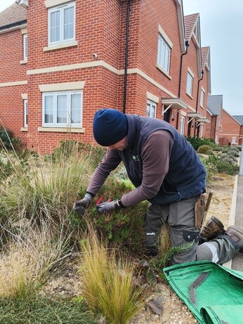 Weekly catch up with garden & propagation