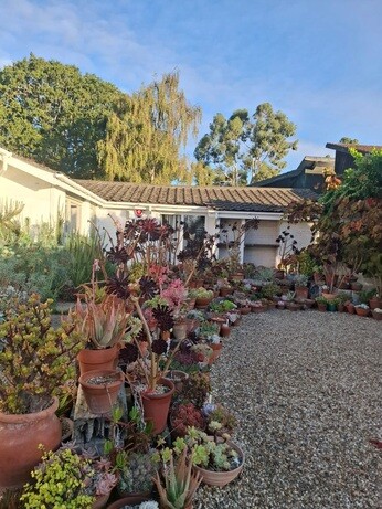 Weekly catch up with garden and propagation Weekly catch up with garden and propagation