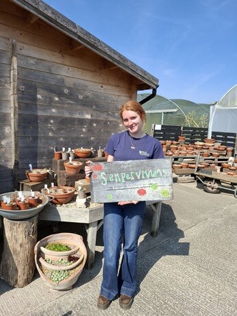 Weekly catch up with gardens & propagation Weekly catch up with gardens & propagation