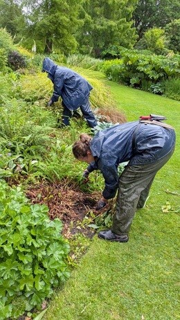 Weekly catch up with garden and propagation